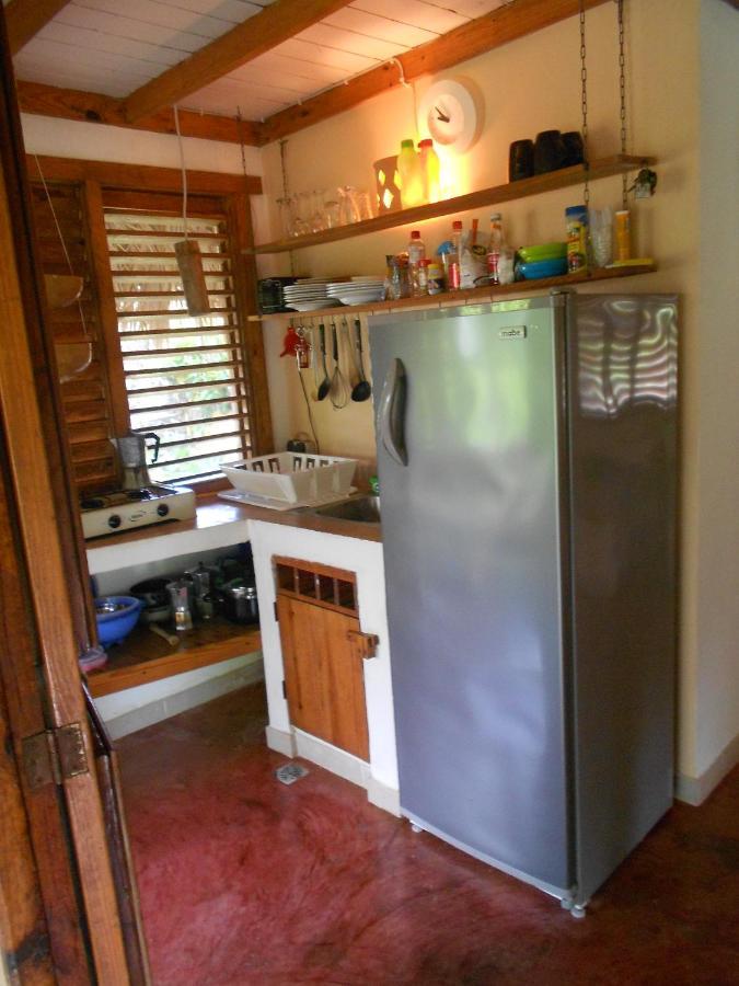 Palm-Covered House In The Tropical -Casa Oli Las Galeras Exterior foto
