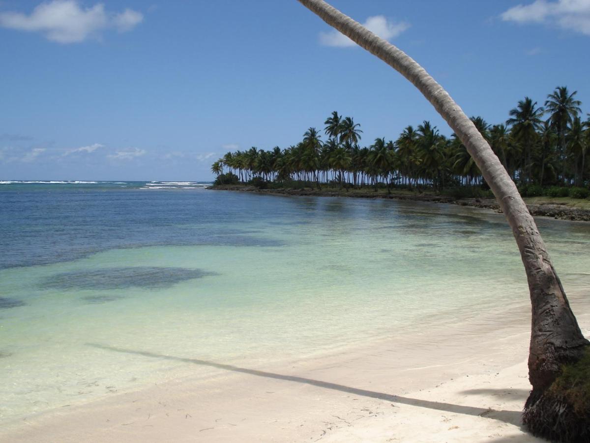 Palm-Covered House In The Tropical -Casa Oli Las Galeras Exterior foto