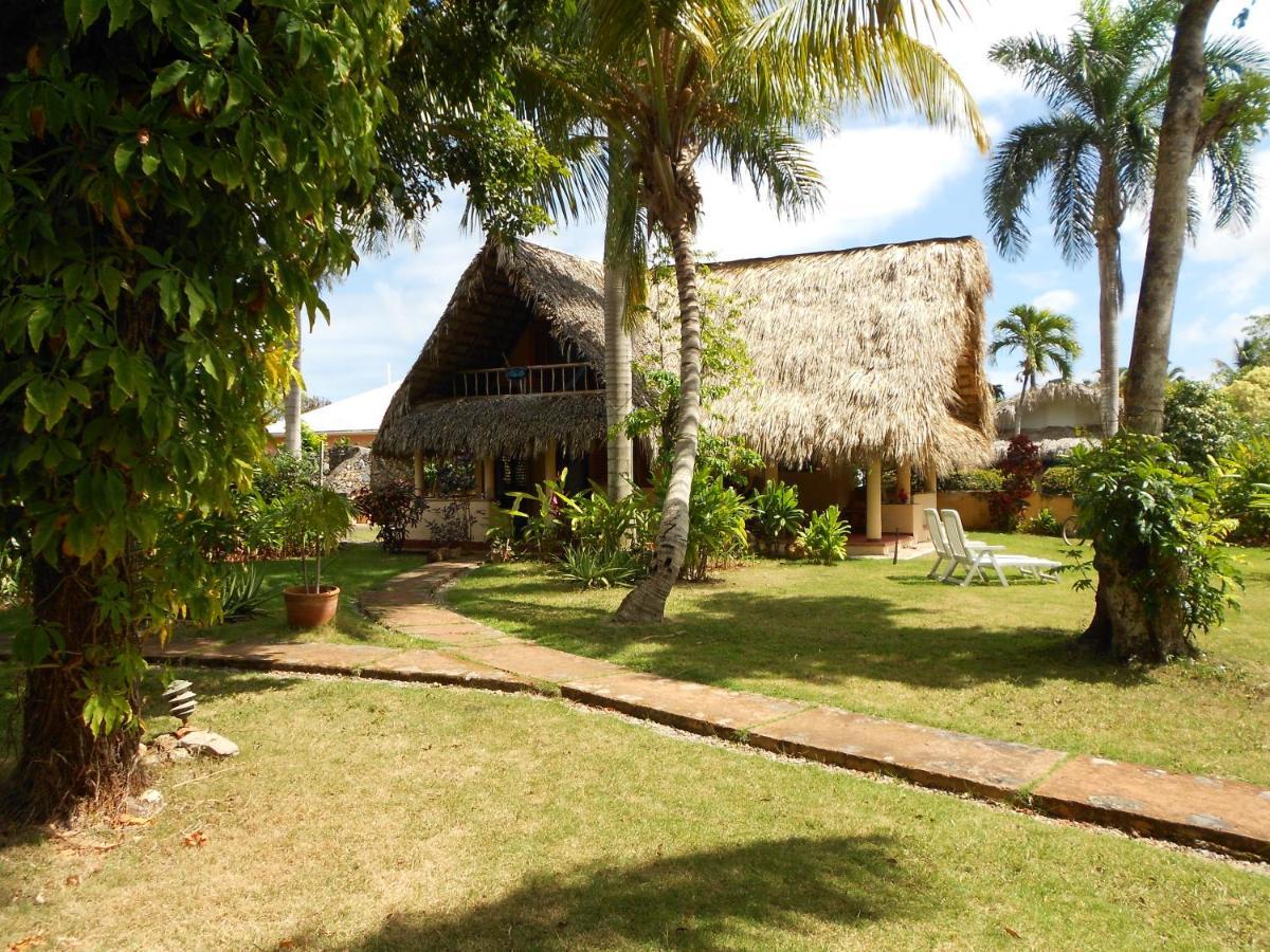 Palm-Covered House In The Tropical -Casa Oli Las Galeras Exterior foto