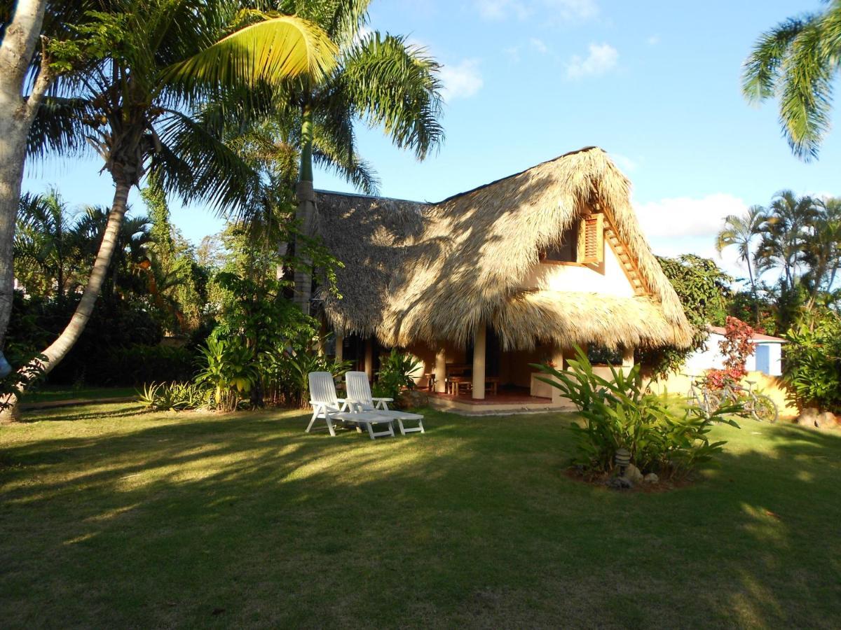 Palm-Covered House In The Tropical -Casa Oli Las Galeras Exterior foto
