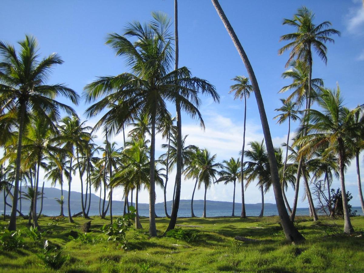 Palm-Covered House In The Tropical -Casa Oli Las Galeras Exterior foto