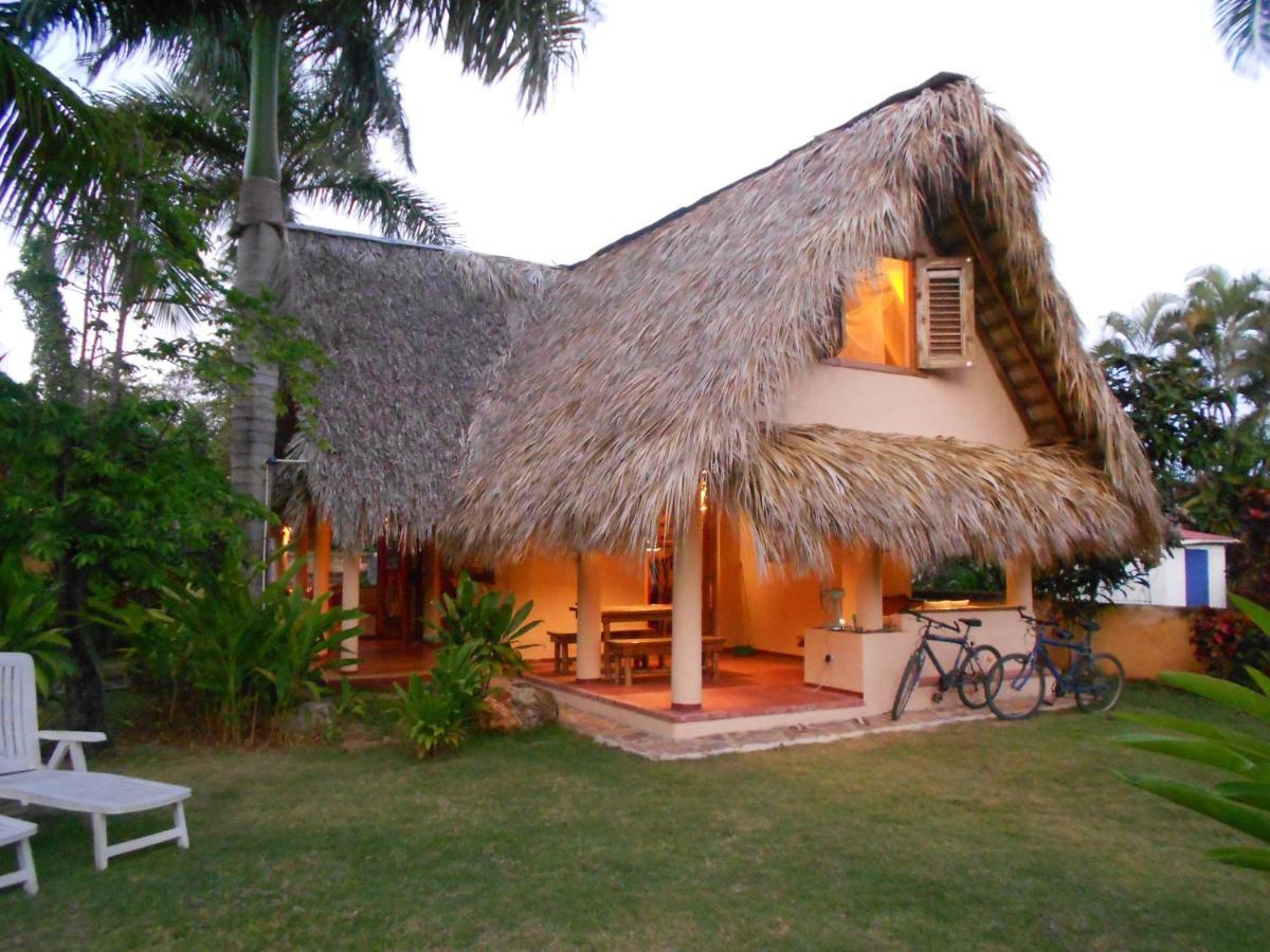 Palm-Covered House In The Tropical -Casa Oli Las Galeras Exterior foto