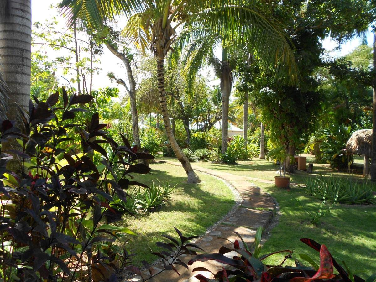 Palm-Covered House In The Tropical -Casa Oli Las Galeras Exterior foto